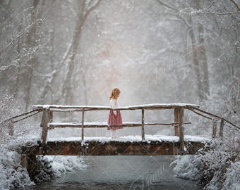 Rustic Bridge in Winter Woods digital background, Soft Focus, Fine Art portrait photography backdrop, creative composite, Photoshop overlay