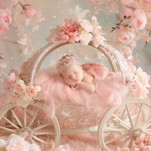 新生児のデジタル背景、ピンクのプリンセスカート、花の乳母車、ファインアート写真のデジタル背景、写真オーバーレイ、クリエイティブ合成