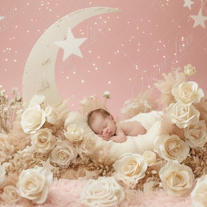 Newborn Digital Backdrop, Pink Floral Crescent Moon, Baby Girl, Moon Star Composite digital background, Photoshop Overlays,Studio Background
