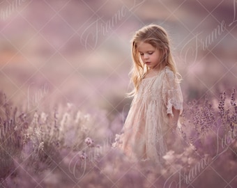 Arrière-plan numérique rêveur de champ de lavande, toile de fond de photographie de portrait d'art, photo composite, superpositions Photoshop, prairie de fleurs flou