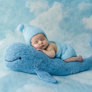 Newborn digital background, Blue Whale, Baby Boy, Studio Minimalist photography digital backdrop, Photography overlays, Creative Composite