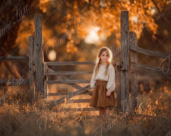 May include: A young girl stands near a rustic wooden gate in a sunlit field. She wears a cream-colored blouse and a brown skirt. The background features a blurred, golden-hued landscape with trees, suggesting an autumn setting. The image has a warm, inviting atmosphere.