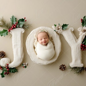 Newborn Digital Backdrop, Christmas JOY, Neutral Minimalist Holiday Festive Composite background, Photoshop Overlays, Studio Background