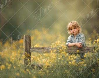 Rustic fence in Flower field digital background, Flower Meadow,Spring Summer portrait digital backdrop, creative composite,Photoshop overlay