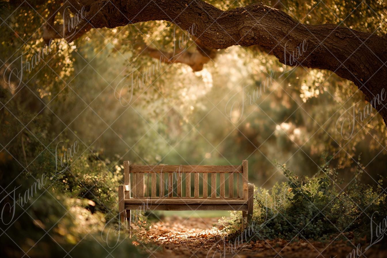 Bench in Pink Rose Garden Digital Background, Sunset, Fine Art Portrait ...