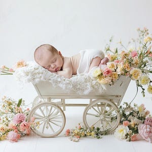Neugeborenen digitaler Hintergrund, Frühling Blumen Warenkorb, Blumen Kinderwagen, Fine Art Fotografie digitaler Hintergrund, Fotografie-Overlays, kreativ zusammengesetzt