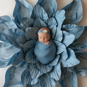 Digital bakgrund för nyfödd, Kungsblå blomma för flicka, Digital bakgrund för konstfotografi, Fotografiöverlägg, Kreativ komposit