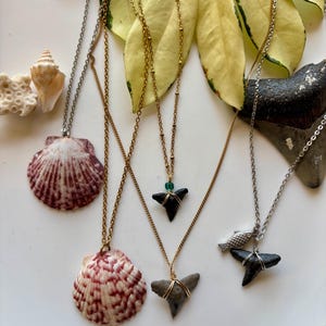 Shark Tooth and Shell Necklaces - Heart in the Wild jewelry
