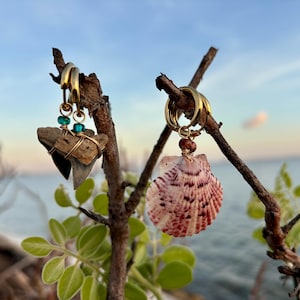 Shark tooth and shell earrings