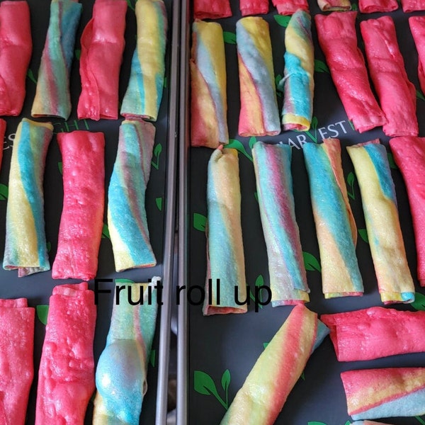 Freeze dried fruit roll up