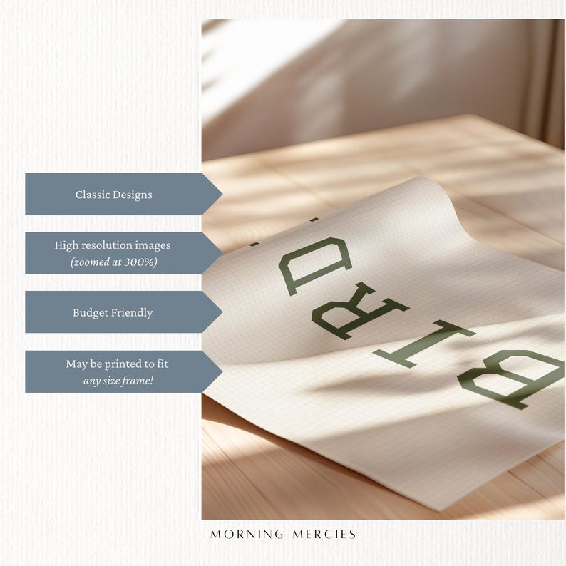 Puede incluir: Impresi&oacute;n enrollada con la palabra "BIRD" en letras verde oscuro. La impresi&oacute;n tiene un fondo beige claro con un patr&oacute;n de cuadr&iacute;cula. El texto de la izquierda dice "Classic Designs", "High resolution images", "Budget Friendly" y "May be printed to fit any size frame!"
