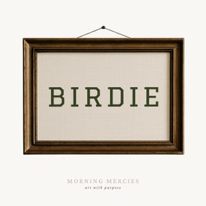 Puede incluir: Una impresi&oacute;n art&iacute;stica enmarcada con la palabra "BIRDIE" en letras de bloque verde oscuro. La impresi&oacute;n est&aacute; sobre un fondo crema con un patr&oacute;n de cuadr&iacute;cula y est&aacute; encerrada en un marco de madera marr&oacute;n oscuro. El texto "MORNING MERCIES art with purpose" est&aacute; en la parte inferior.