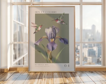 Vintage Botanical Art Print: Iris, Hummingbirds, French Cottage Decor