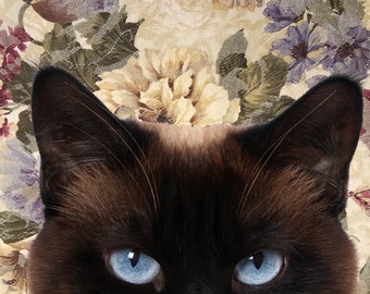 Floral Cat Digital Art