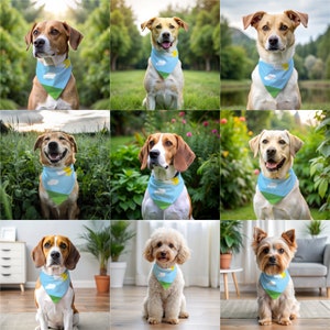 May include: A collection of nine dogs of various breeds, each wearing a light blue bandana. The bandanas feature a landscape design with a yellow sun, green hills, and white clouds. The dogs are in outdoor settings.