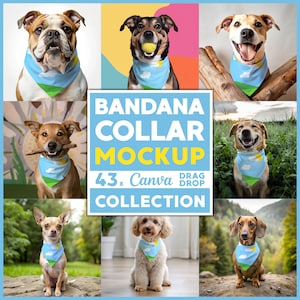 43x Hunde Bandana Mockup Bundle für Canva Easy Use Bandana Kragen ziehen Drop PNG Transparent Pet Bandana Kragen Mockups für Hund Overlay