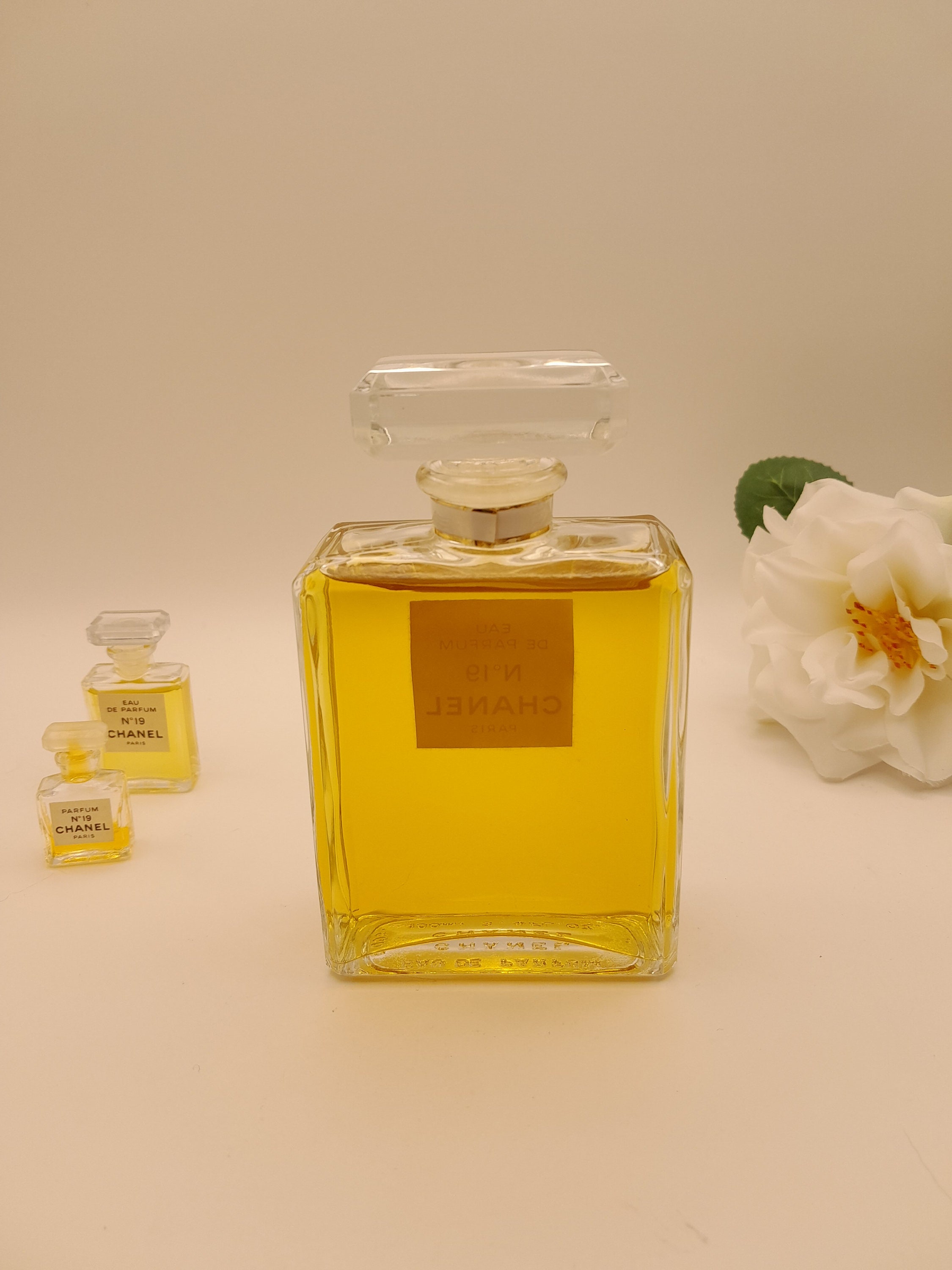 CHANEL N°19 100ml×2 50ml×2 Amazon.com : No. 19 by Chanel for Women, Eau De Parfum Spray