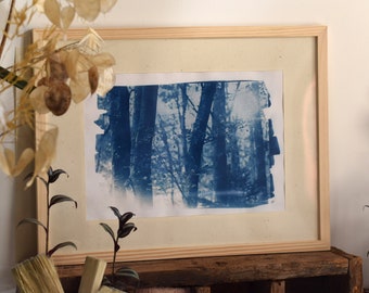 Cyanotype encadré 30x40 cm original. Photo forêt hêtre