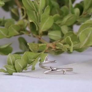 May include: A silver-colored ring with a branch-like design. The ring features a wrap-around style with three small, twig-like protrusions. The ring is set against a soft, neutral background with green foliage in the background.