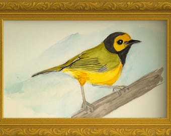 Hooded Warbler Watercolor Painting – 6x9 Original Bird Art on Paper