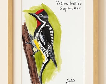 Yellow-bellied Sapsucker Watercolor Painting – Original Bird Art by BWS