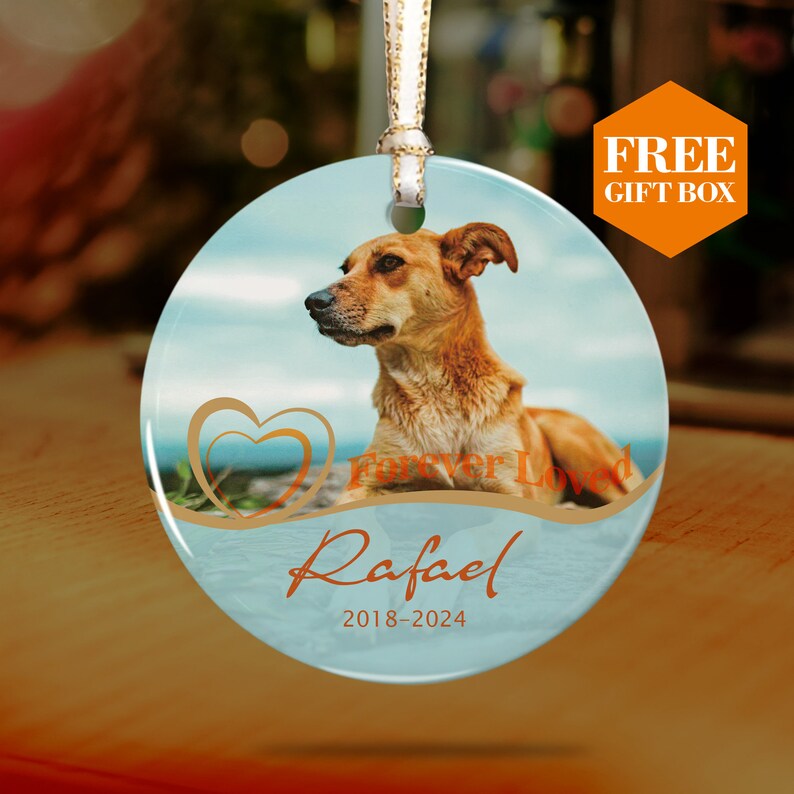 Personalized Pet Sympathy Gift, Custom Dog Ornament ,Pet Memorial Gift, Pet Loss Gift, Dog Keepsake ,Dog Name Ornament sky