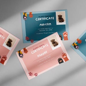 Geboorteakte puppy | Afdrukbare geboorteakte van de hond bewerkbaar | Geboorteakte huisdier | Geboortevorm fokker | Bewerkbare canvassjabloon
