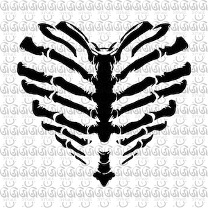 Skeleton Rib Heart SVG, Skeleton Rib Cage Heart SVG,  Human Skeleton SVG, Skeleton Ribcage Svg, Skeleton Chest Svg, Files Svg,Ai,Eps,Dxf,Png