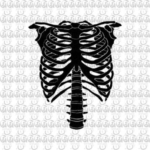 Skelett Rippe SVG, Brustkorb SVG, Skelett Brustkorb SVG, menschliche Knochen SVG, Skelett Brustkorb SVG, Skelett Brust SVG, Datei Png, Ai, Eps,Dxf,Svg