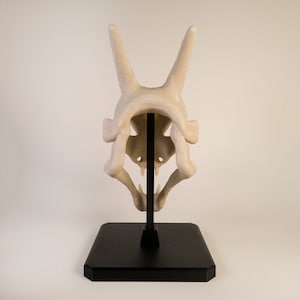 Figurine Crane de Dracaufeu (Pokémon) réaliste. Couleur os et monté sur socle et tige noir. Impression 3D
