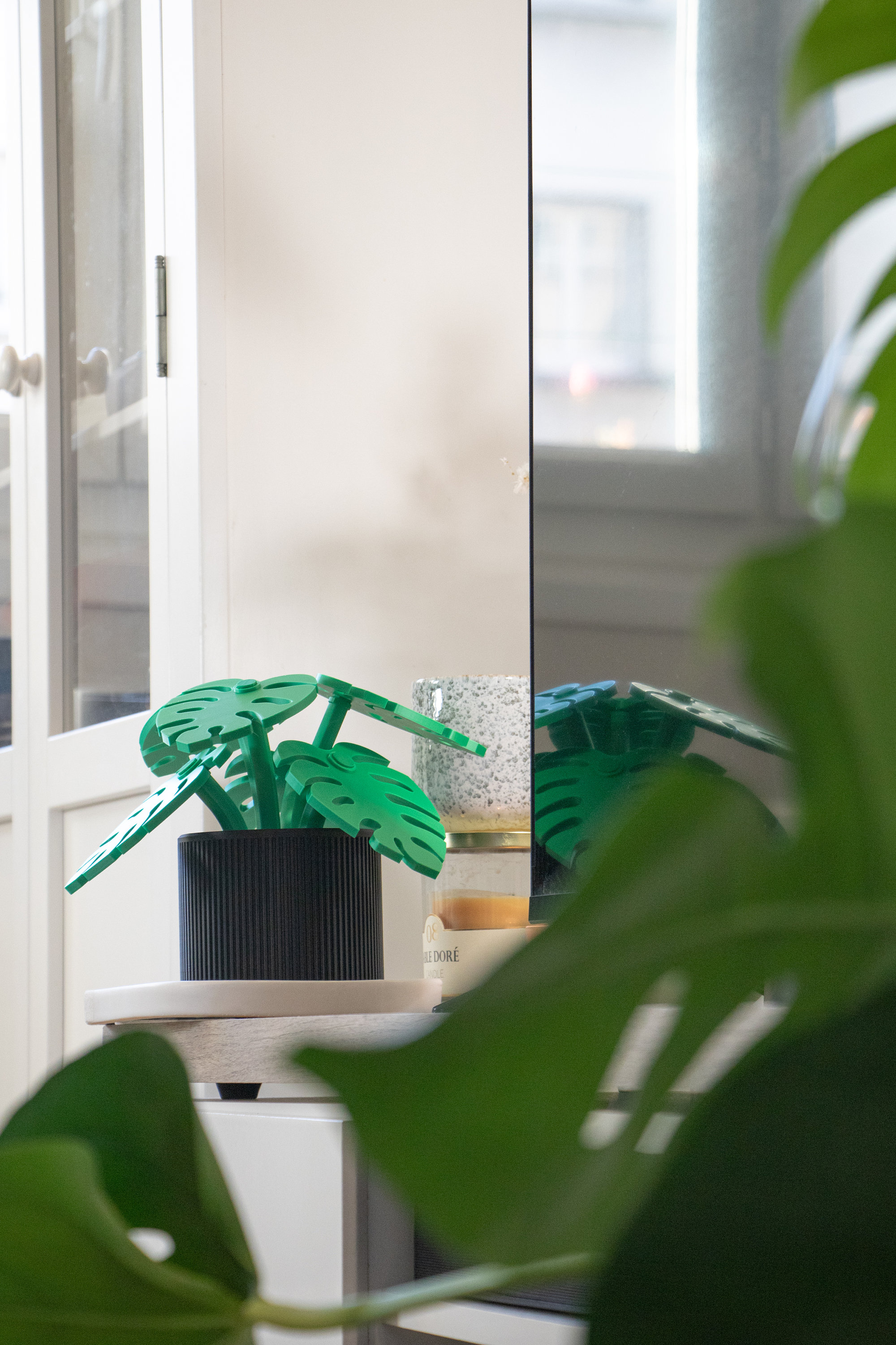 philodendron imperial Philodendron Imperial Green main image 0