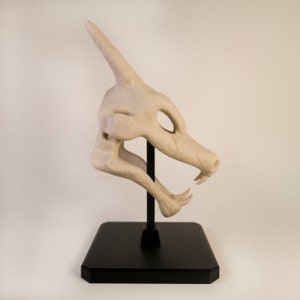 Figurine Crane de Dracaufeu (Pokémon) réaliste. Couleur os et monté sur socle et tige noir. Impression 3D
