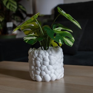 Peut inclure: Un pot en céramique blanc avec une surface texturée en forme de bulles, contenant une plante monstera verte et blanche.