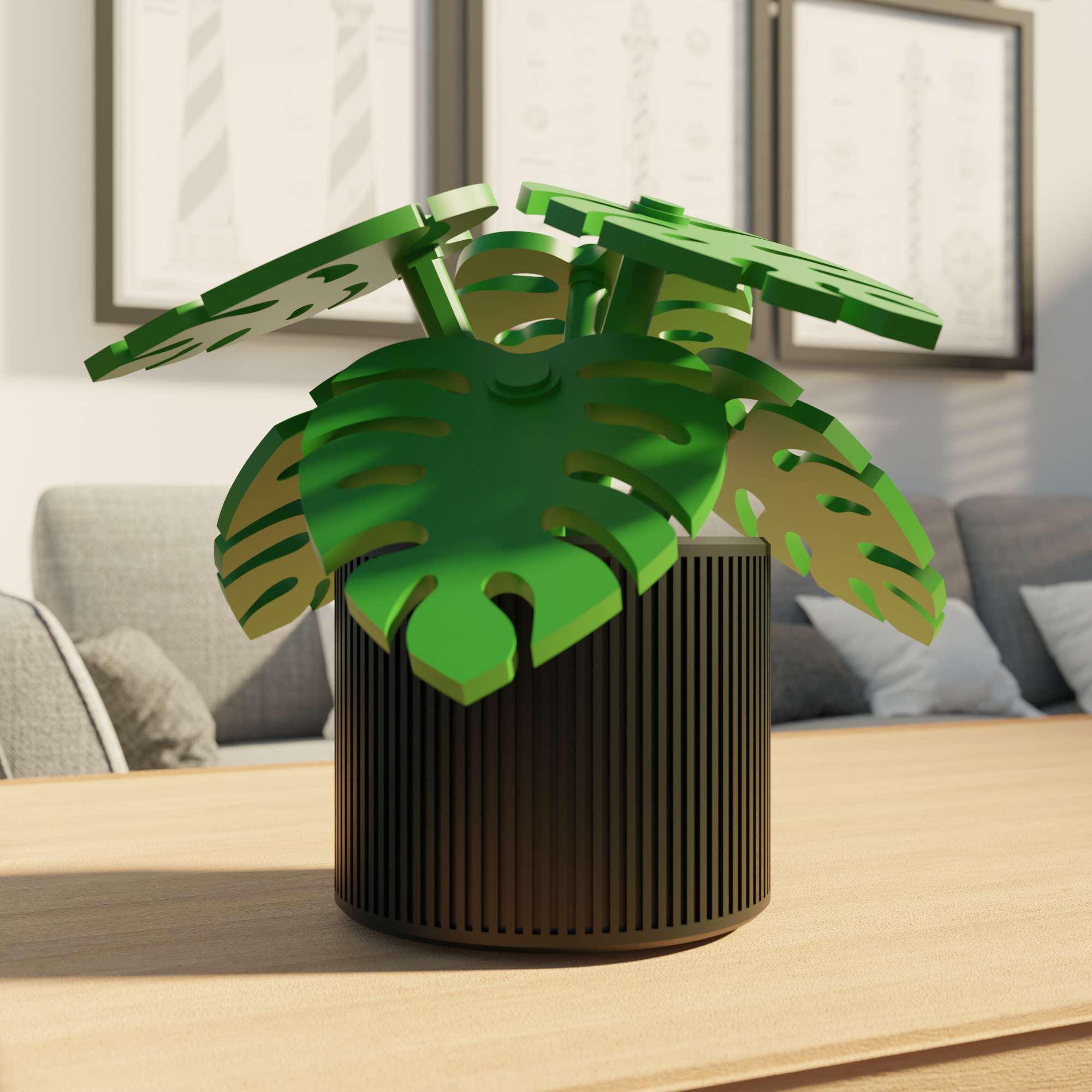 philodendron tortum vermehren Philodendron Tortum in Rust Pot – plantaelover main image 0