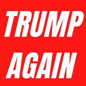 トランプを再び負けさせる、反トランプ、バンパーステッカー、反トランプ、2024年選挙、彼を投獄。民主主義。耐候性デカール、11インチ×3インチ