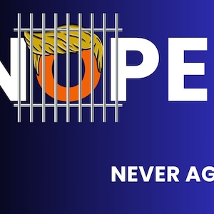 NOPE Never Again! Anti-Trump, Laptop/Water Bottle Sticker/Decal. Election 2024. Trump-the-Criminal. Orange Jumpsuit. Lock Him Up. 3&quot;x2&quot;