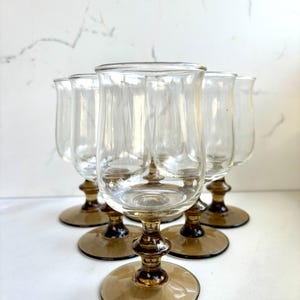 6 Libbey Tulip Wine Glasses: Tawny Brown Stemware, Bar Cart Decor