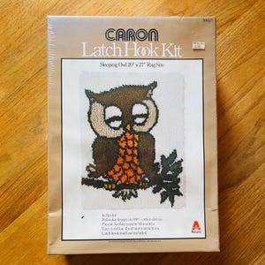 May include: Caron Latch Hook Kit featuring a sleeping owl design. The kit includes a full-color design on cotton canvas, pre-cut acrylic yarn, and illustrated instructions. The finished rug size is 20" x 27".
