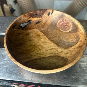 Florida Live Oak Crotch Bowl
