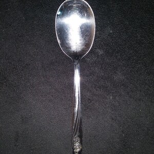May include: A silver spoon with a floral design on the handle. The spoon is shiny and reflects light.