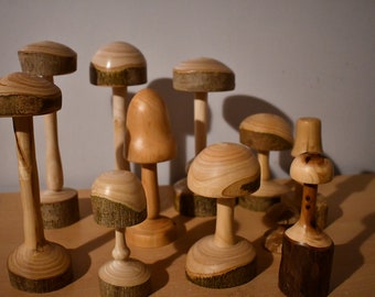 funghi assortiti