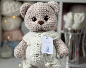 Regalo de embarazo Oso de peluche juguete para bebés varones, Regalo personalizado para niños pequeños, Regalo de anfitriona de baby shower, Es un niño, Es una niña, Revelación de embarazo