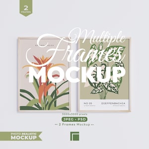 May include: Two rectangular wooden frames containing botanical art prints. The left print features an orange bromeliad plant on a light background. The right print displays a green and white dieffenbachia plant with the text NO 05 DIEFFENBACHIA.