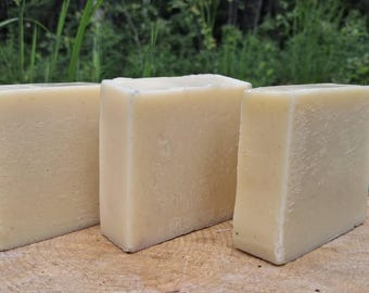 Alaska Devil's Club Soap/ Handcrafted Artisan Cold Process Soap