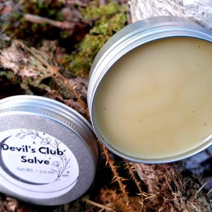 Wildcrafted  Alaska Devil's Club Salve/ Handmade in Alaska / Small Batch Botanical Balm