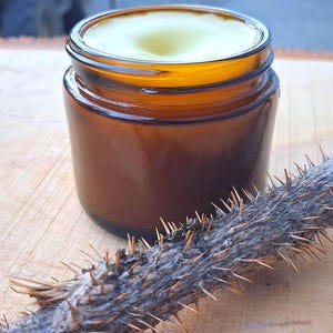 May include: A small amber glass jar filled with a smooth, pale yellow cream, positioned next to a long, woody plant stem covered in sharp, pointed thorns. The jar has a simple, cylindrical shape and is open at the top, revealing the contents.