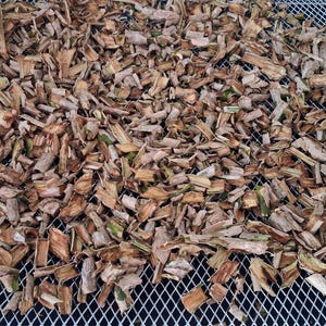 May include: A collection of small, dried, light brown wood-like plant fragments spread evenly across a silver-colored metal wire mesh tray. The pieces vary in shape and size, displaying a fibrous texture with occasional hints of green.