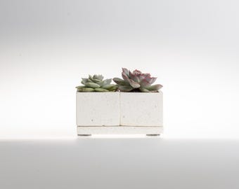 Cube Concrete Planter Set of 2 | Handmade Indoor Plant Pots with Saucers