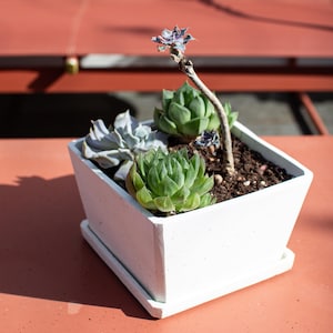 Square Concrete Planter | Song Dynasty Inspired Handmade Indoor Plant Pot