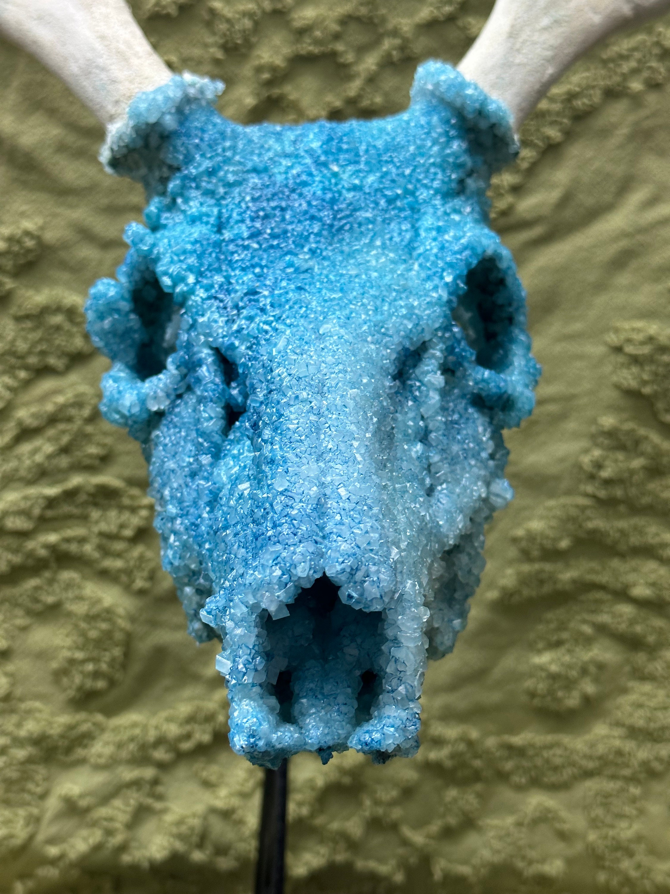 希少 Acq deer skull 　壁掛け　コンクリート製オマケ付き 希少 Acq deer skull 壁掛け コンクリート製オマケ付き 【公式通販】